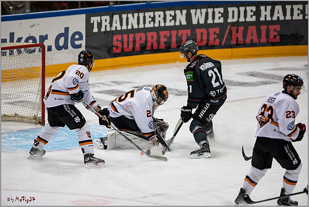 Koelner Haie - Grizzlys Wolfsburg, 16.10.2016, 16.10.2016